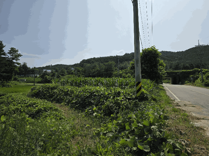 물건 대표 사진