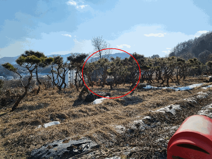 물건 대표 사진