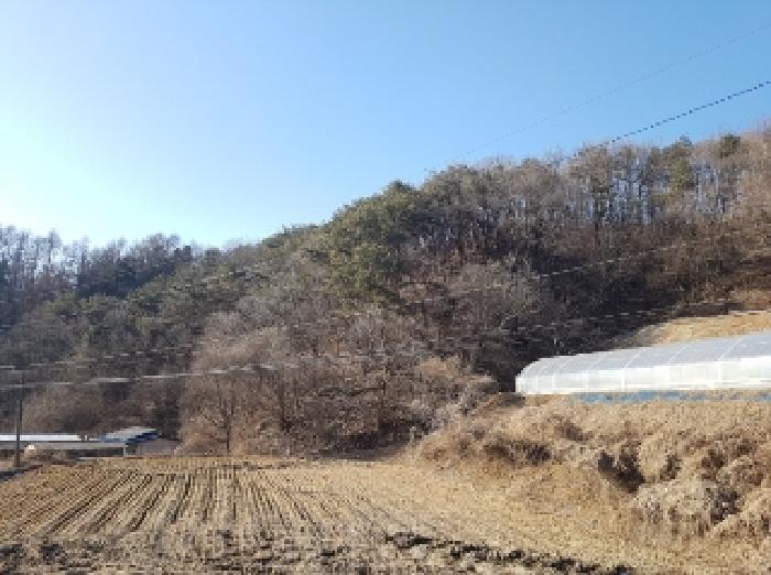 물건 대표 사진