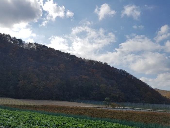 물건 대표 사진