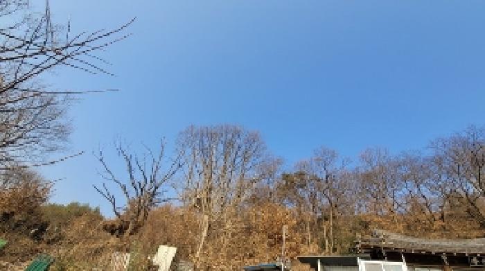물건 대표 사진
