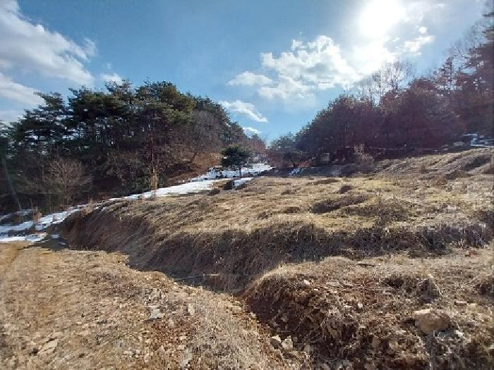 물건 대표 사진