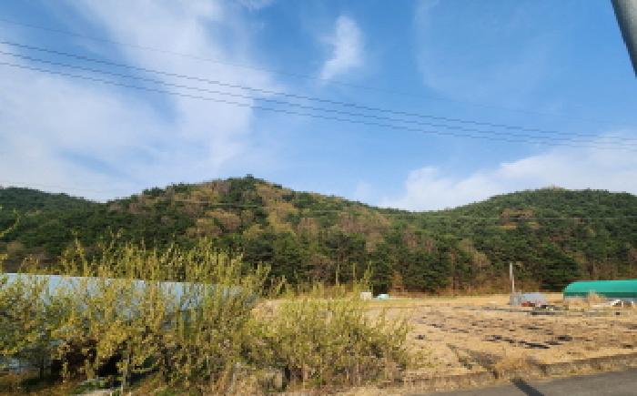 물건 대표 사진