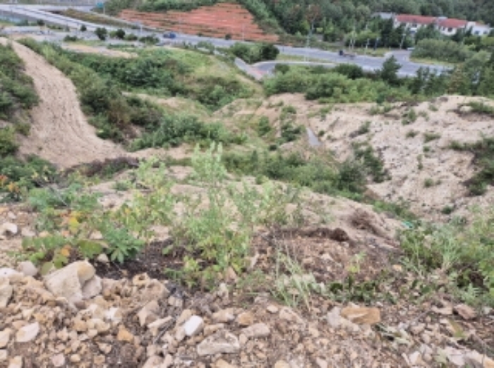 물건 대표 사진