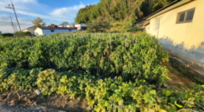 물건 대표 사진