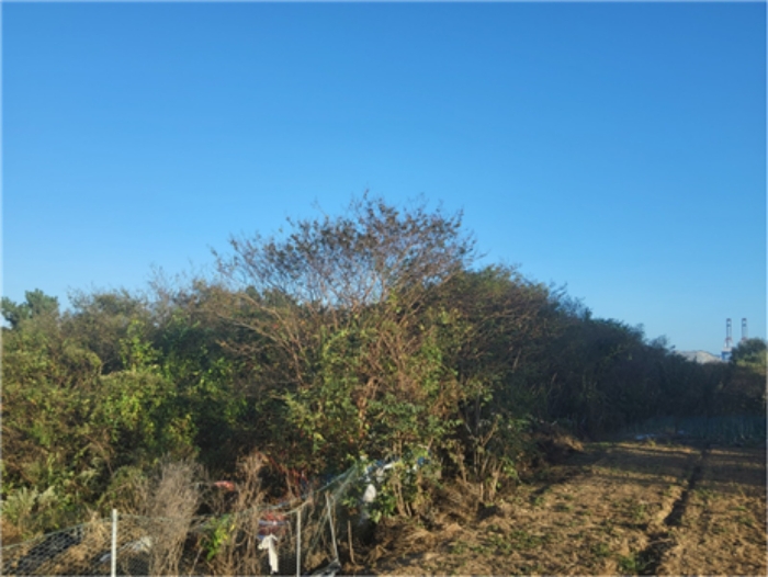 물건 대표 사진