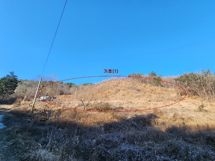 물건 대표 사진