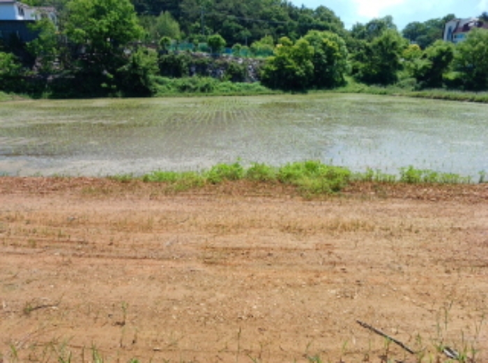 물건 대표 사진
