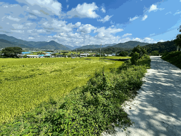 물건 대표 사진