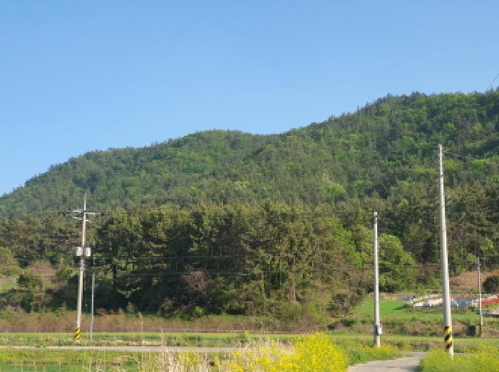 물건 대표 사진