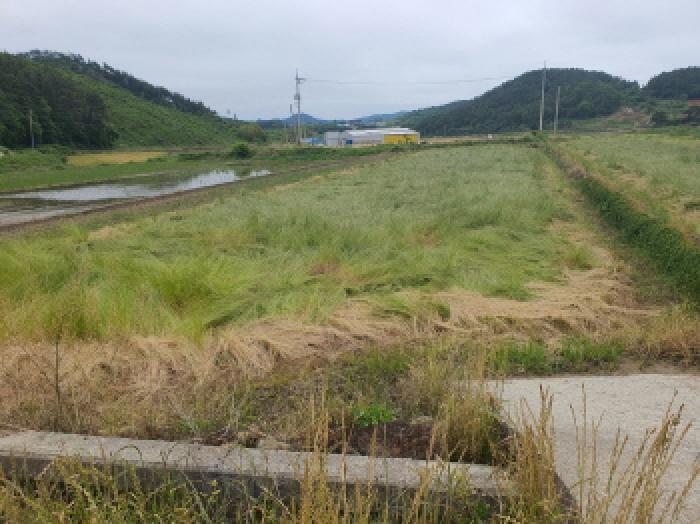 물건 대표 사진