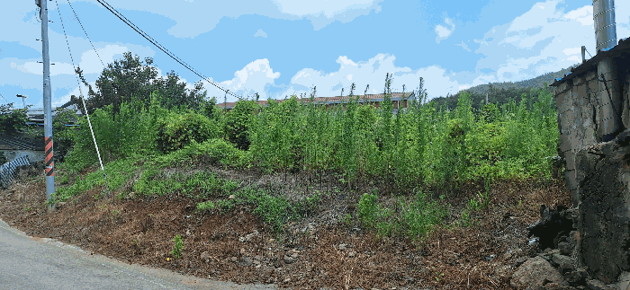 물건 대표 사진