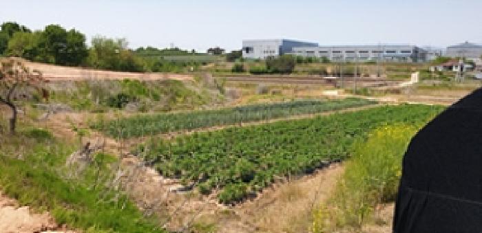 물건 대표 사진