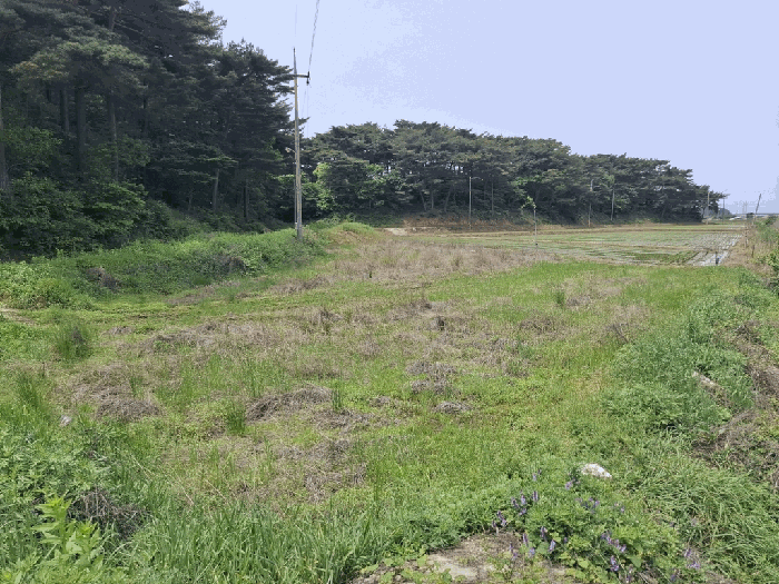 물건 대표 사진