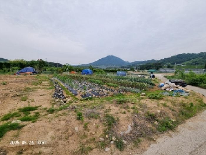 물건 대표 사진