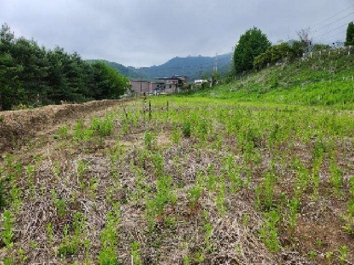 물건 대표 사진