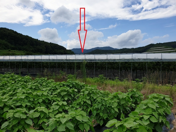 물건 대표 사진