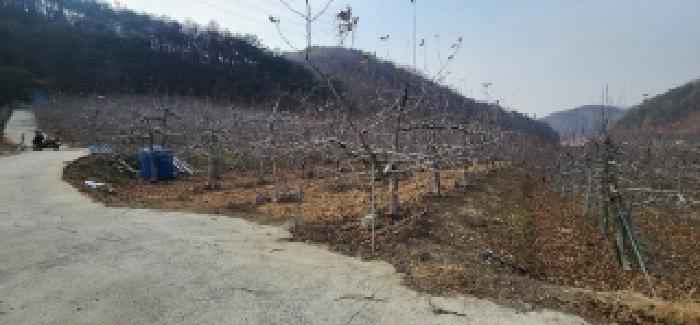 물건 대표 사진