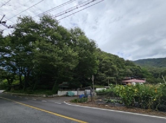 물건 대표 사진