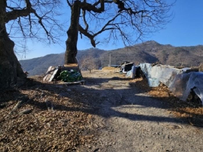 물건 대표 사진