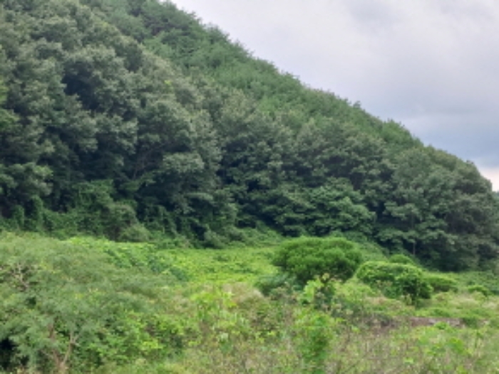 물건 대표 사진
