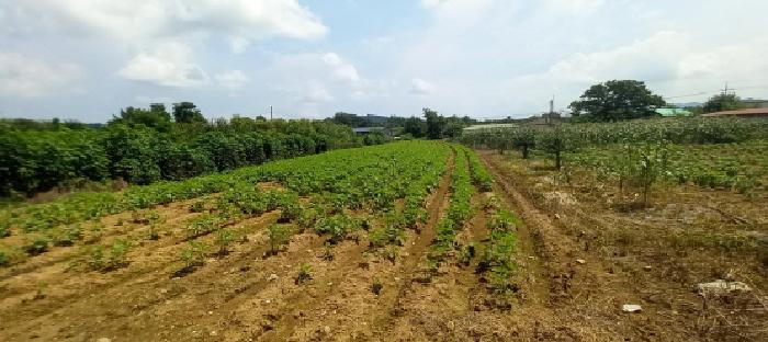 물건 대표 사진