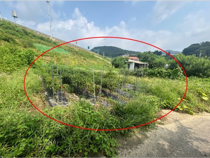 물건 대표 사진