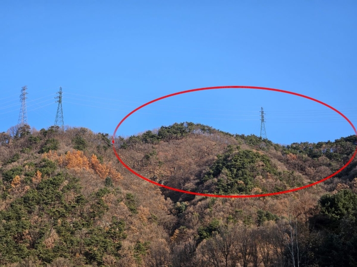 물건 대표 사진