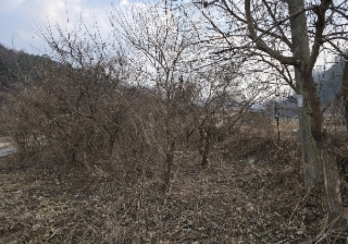 물건 대표 사진