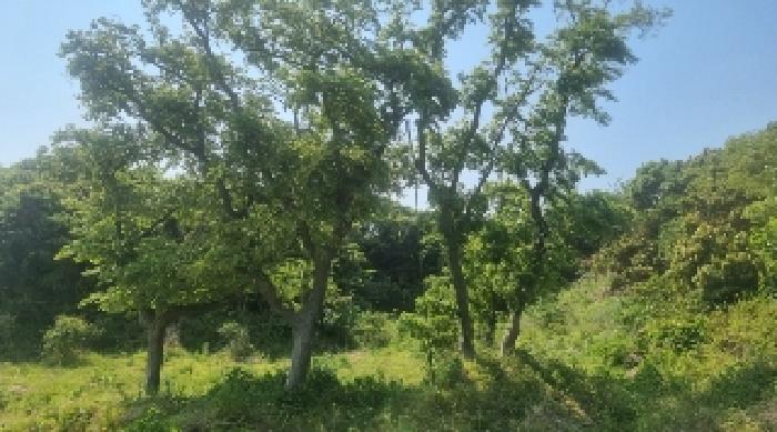 물건 대표 사진