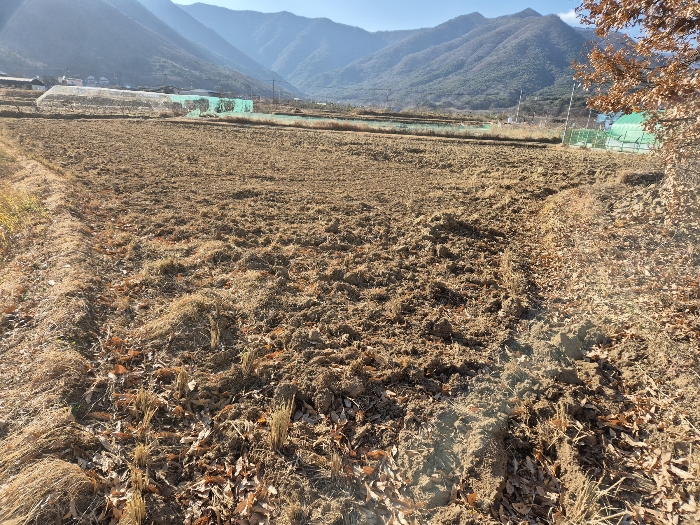 물건 대표 사진