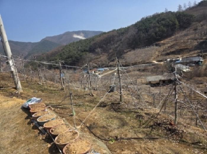 물건 대표 사진