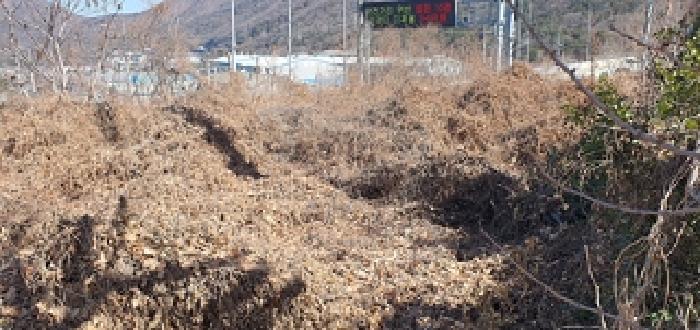 물건 대표 사진