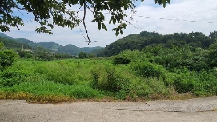 물건 대표 사진