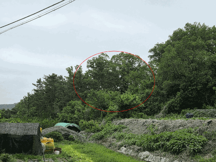 물건 대표 사진