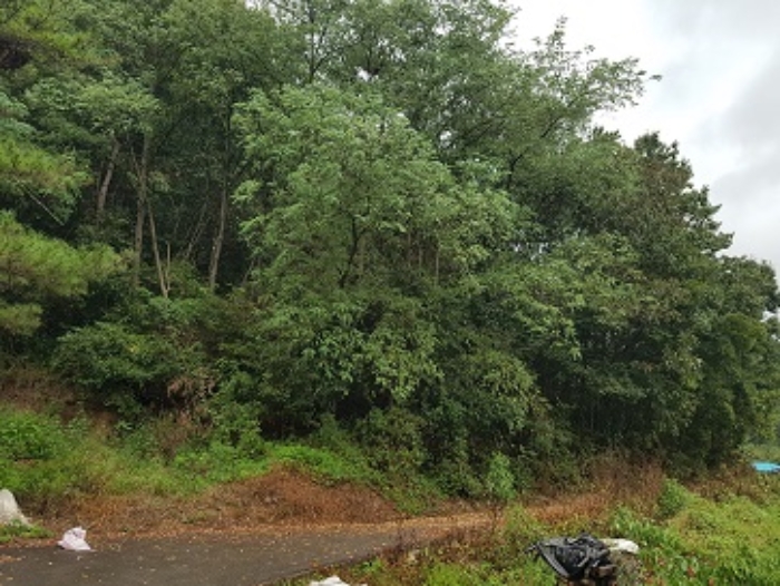 물건 대표 사진