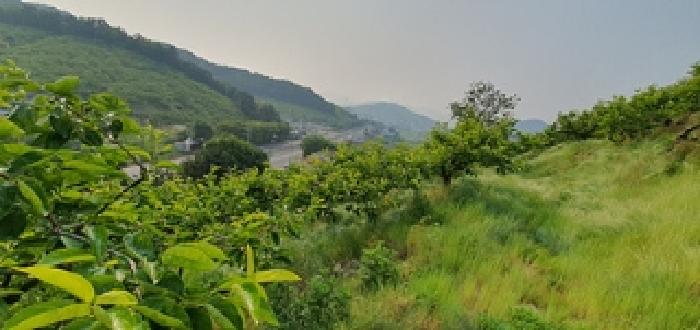 물건 대표 사진