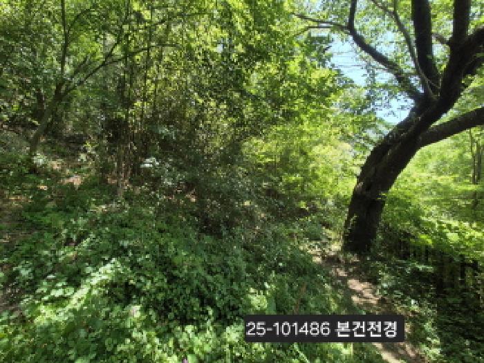 물건 대표 사진