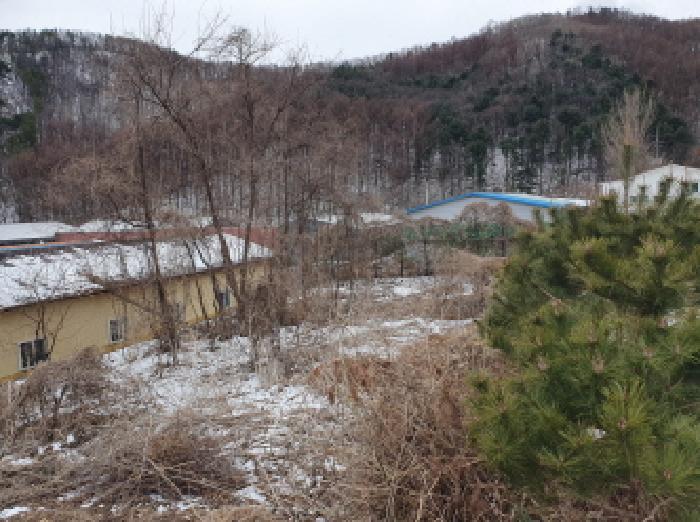 물건 대표 사진