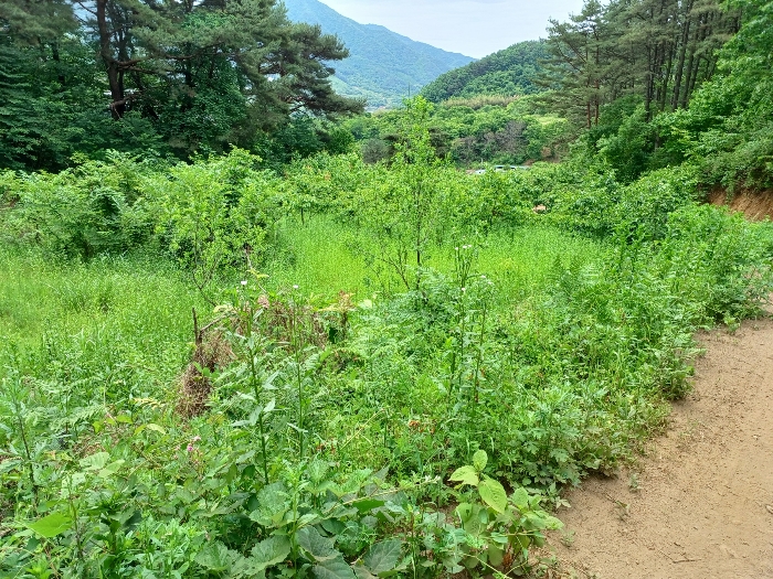 물건 대표 사진