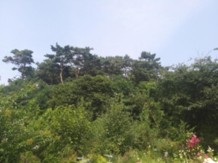 물건 대표 사진