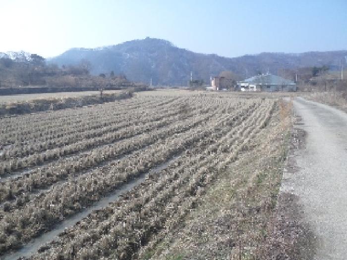 물건 대표 사진