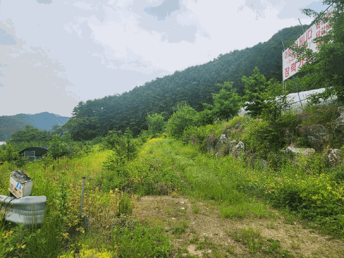 물건 대표 사진