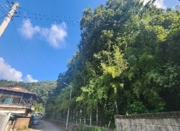 물건 대표 사진