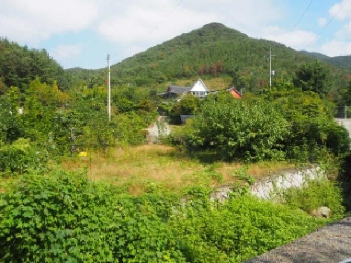 물건 대표 사진