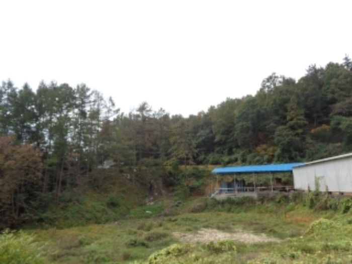 물건 대표 사진