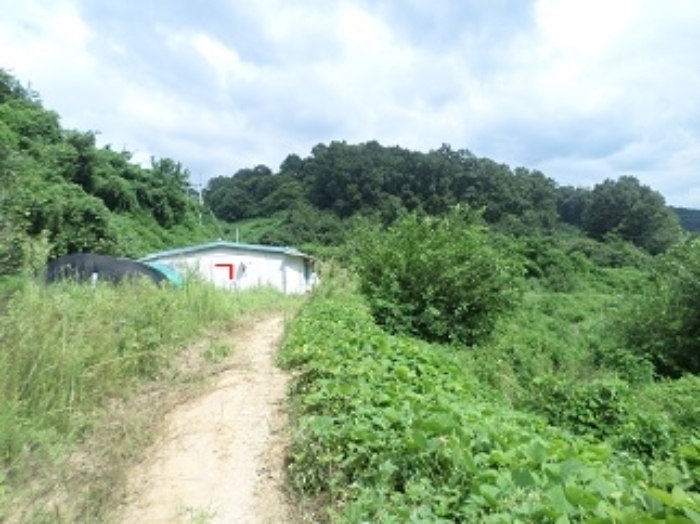 물건 대표 사진