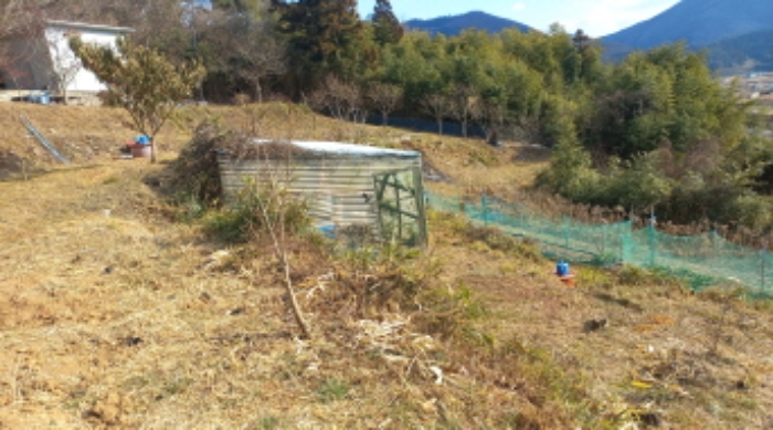 물건 대표 사진