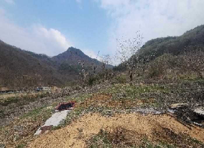 물건 대표 사진