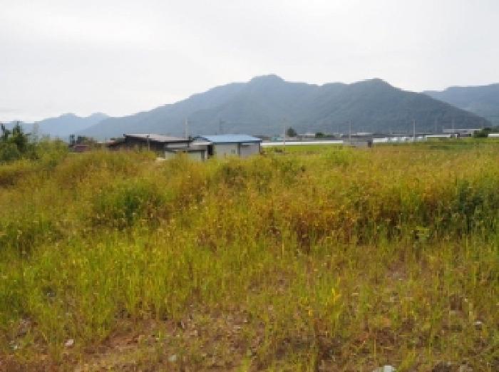 물건 대표 사진